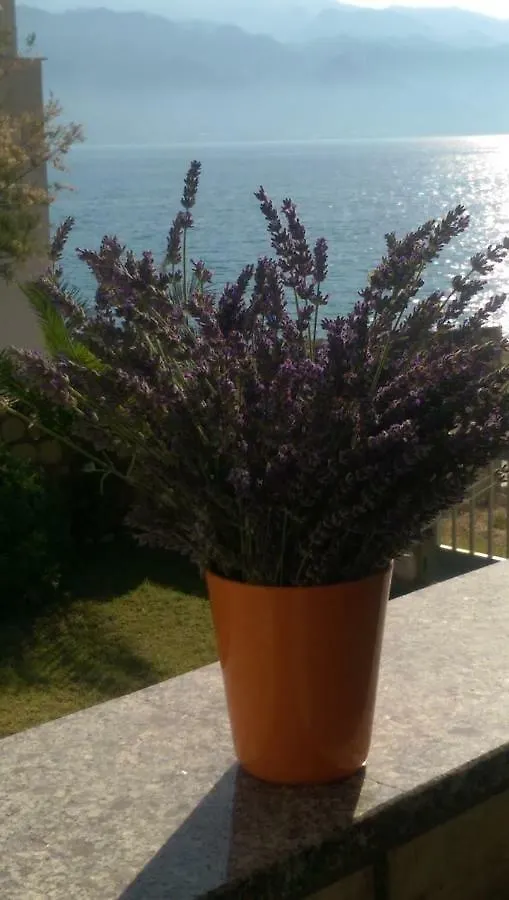 Apartmán Holiday Home Ankica Ražanac Chorvatsko