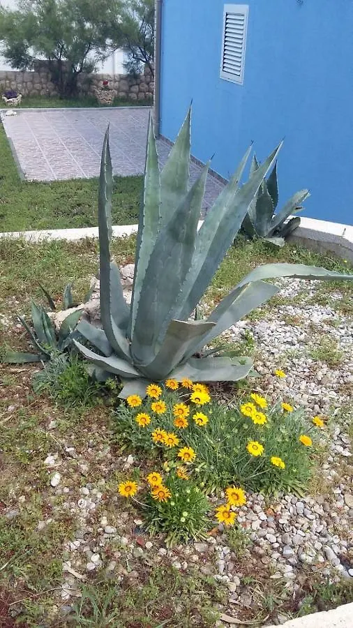 Apartmán Holiday Home Ankica Ražanac
