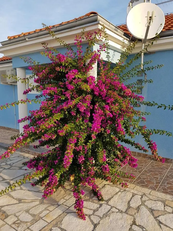 Holiday Home Ankica Razanac 0*,