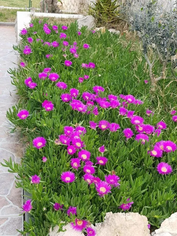 Holiday Home Ankica Razanac