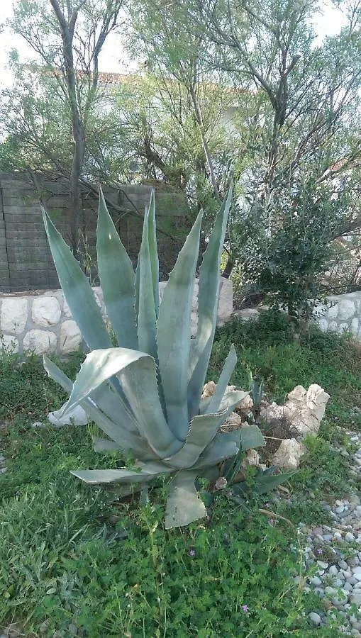 Holiday Home Ankica Razanac Croatia