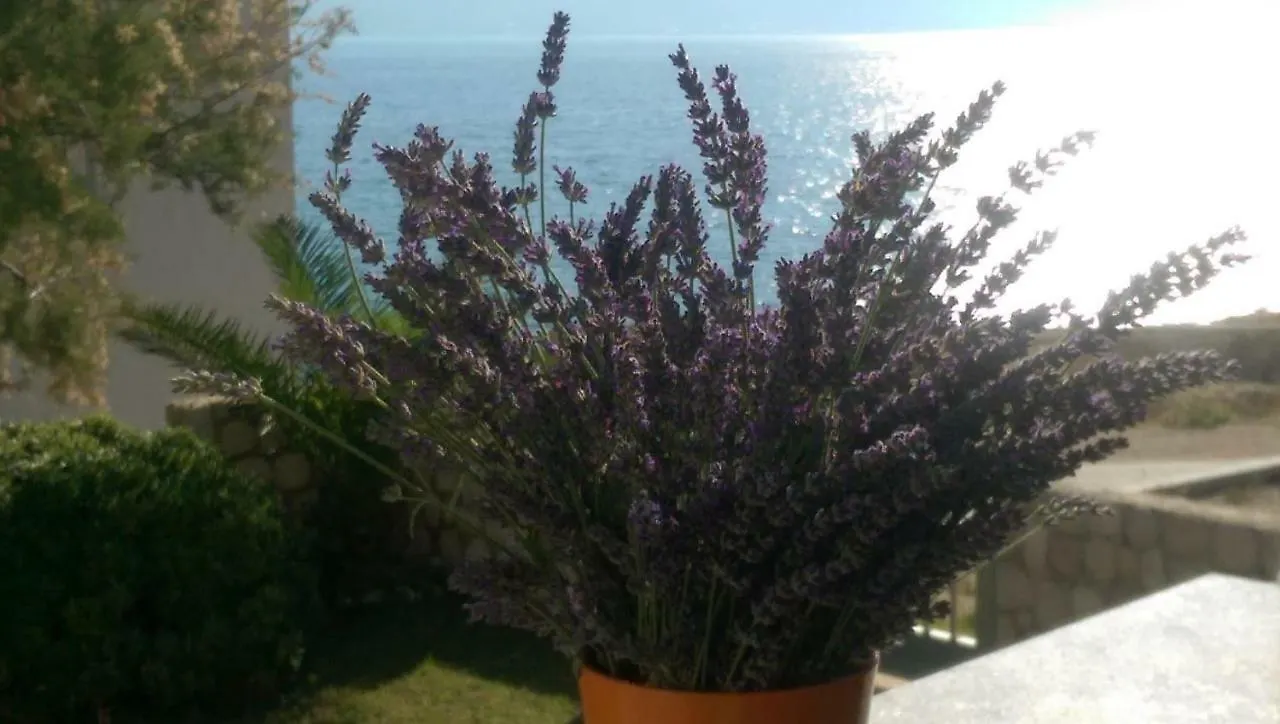Apartment Holiday Home Ankica Razanac Croatia