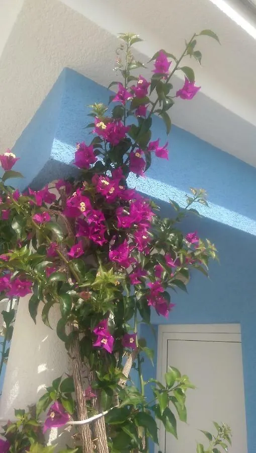 Holiday Home Ankica Razanac Apartment